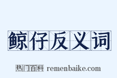 鲸仔反义词是什么意思的图片